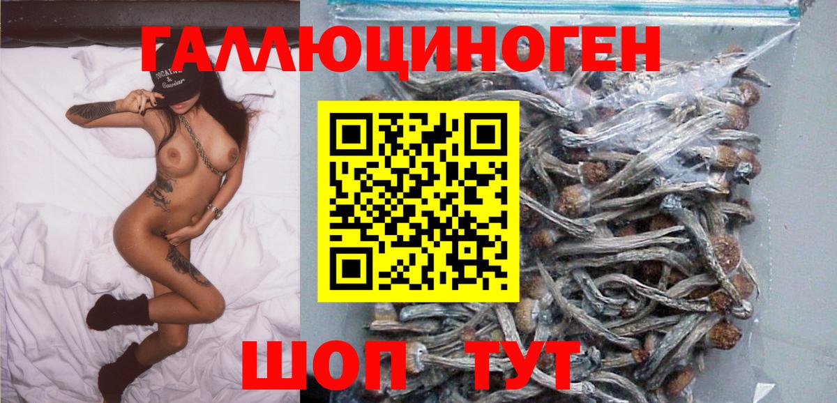 Псилоцибиновые грибы GOLDEN TEACHER  Вход с VPN  Углич 