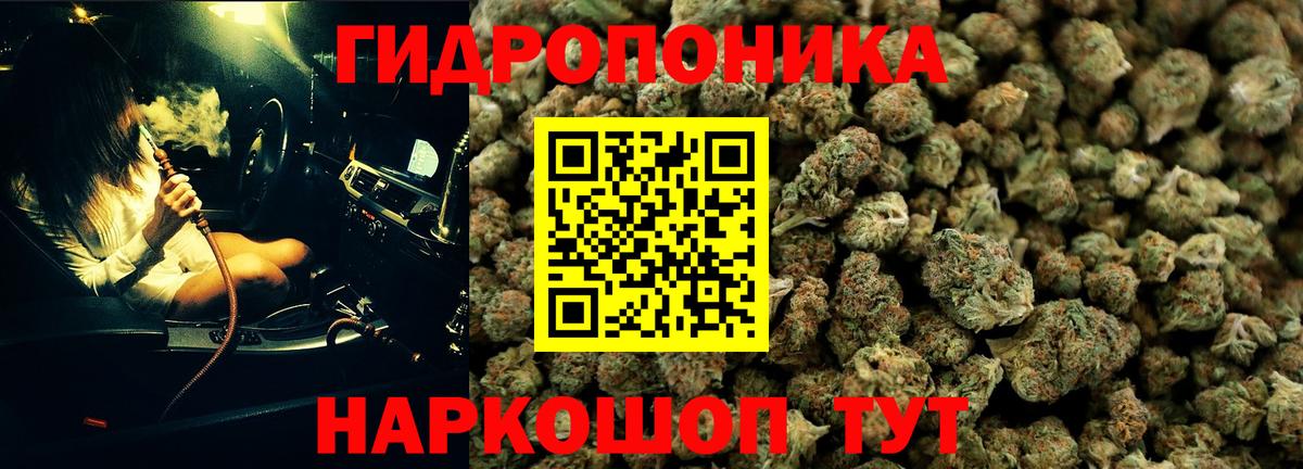 Бошки Шишки THC 21%  Канабис планчик  Углич  МАРИХУАНА индика  Канабис Amnesia  Вход с VPN 