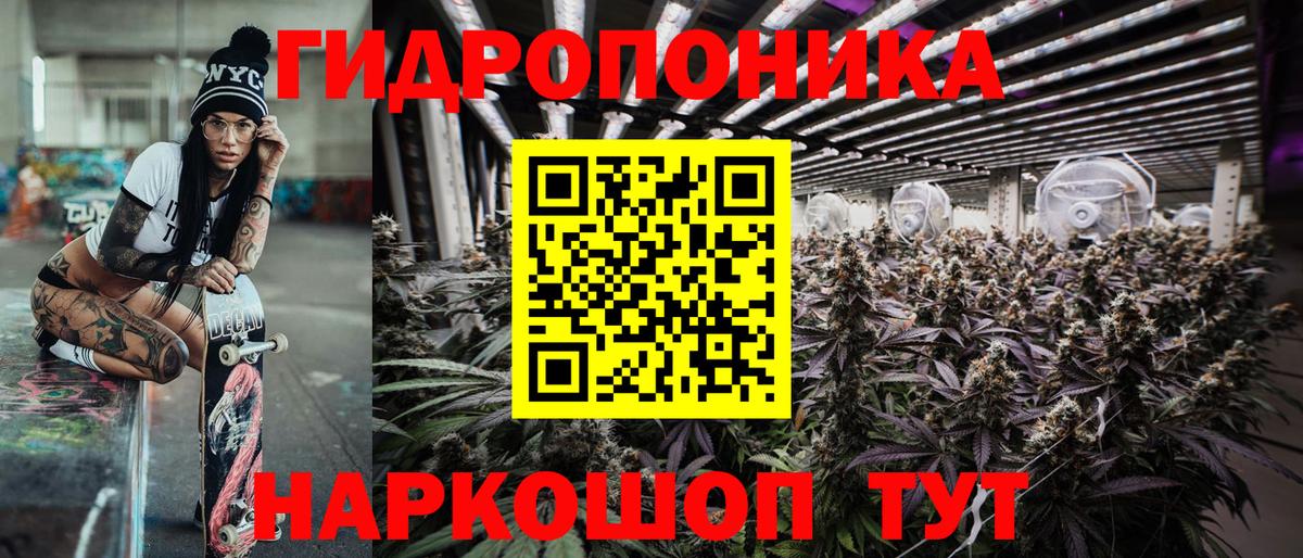 Канабис сатива Углич
